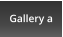 Gallery a